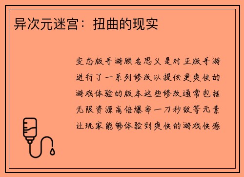 异次元迷宫：扭曲的现实